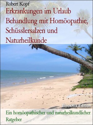 cover image of Erkrankungen im Urlaub Behandlung mit Homöopathie, Schüsslersalzen und Naturheilkunde